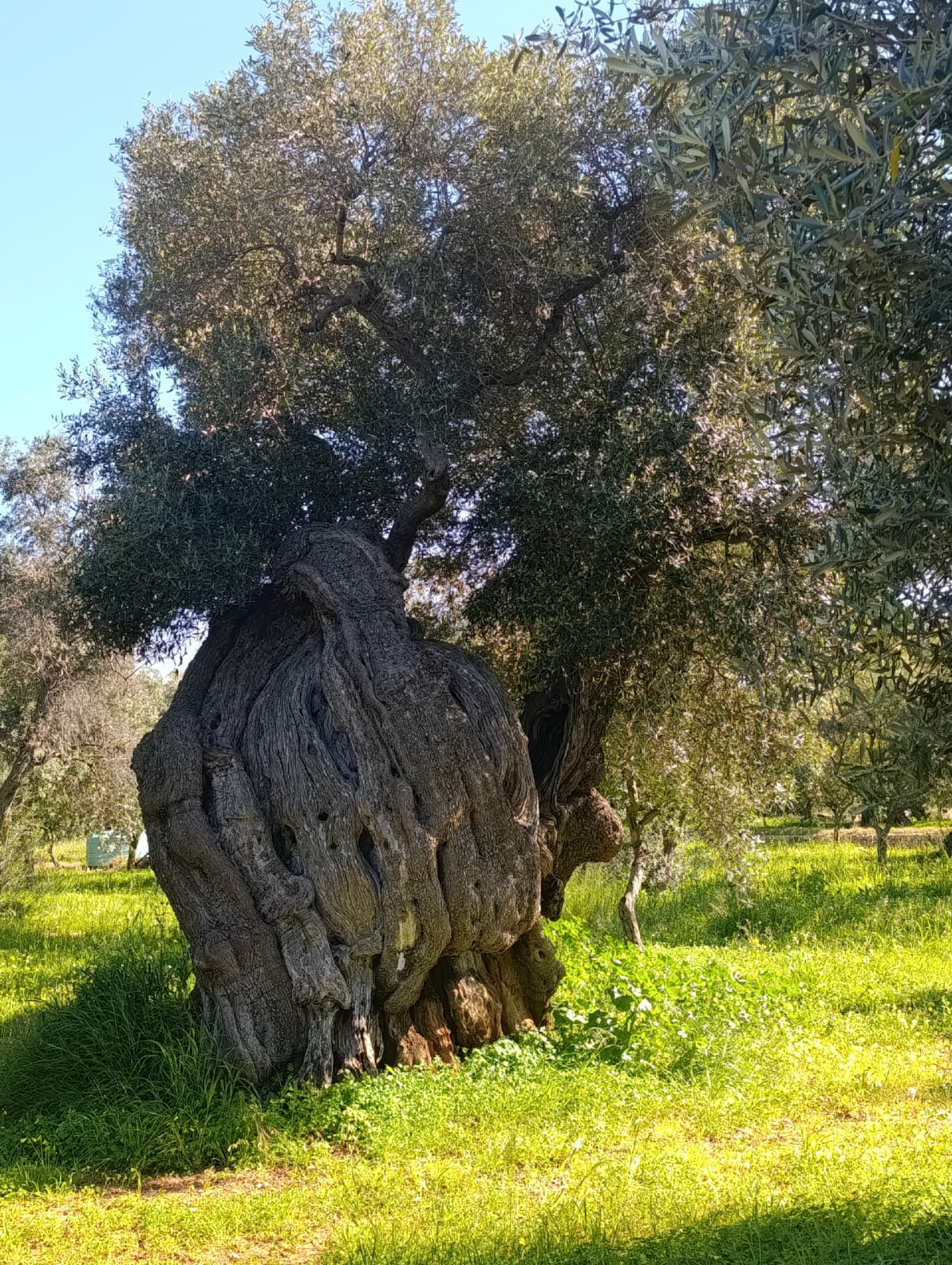 Puglia, Italy