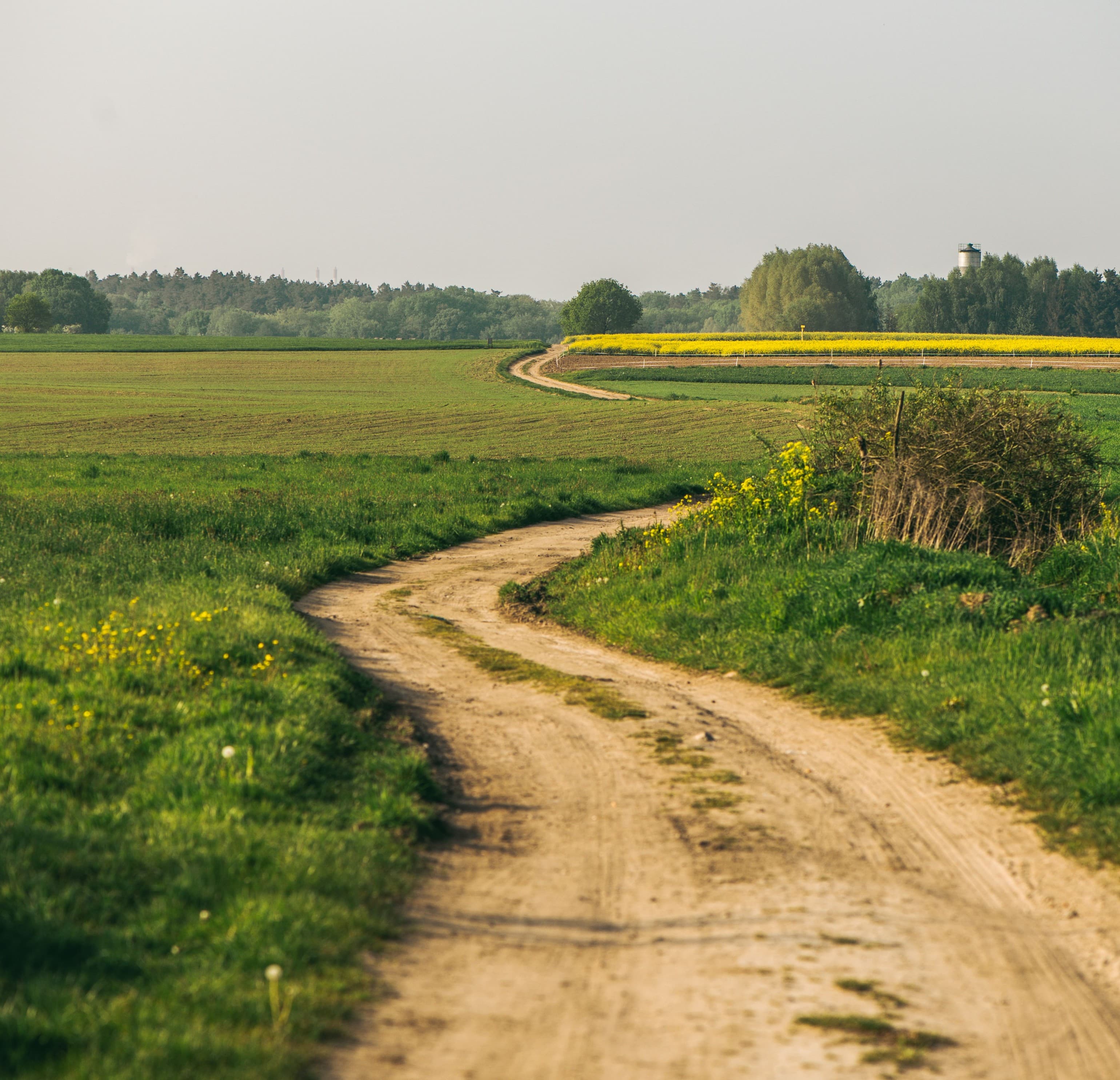 Rural road landscape